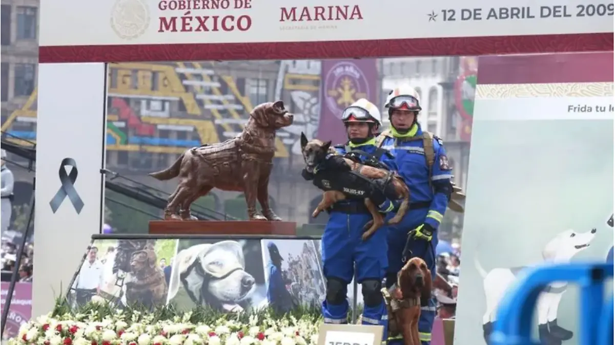 Captura de Pantalla 2023-09-16 a la(s) 13.41.16